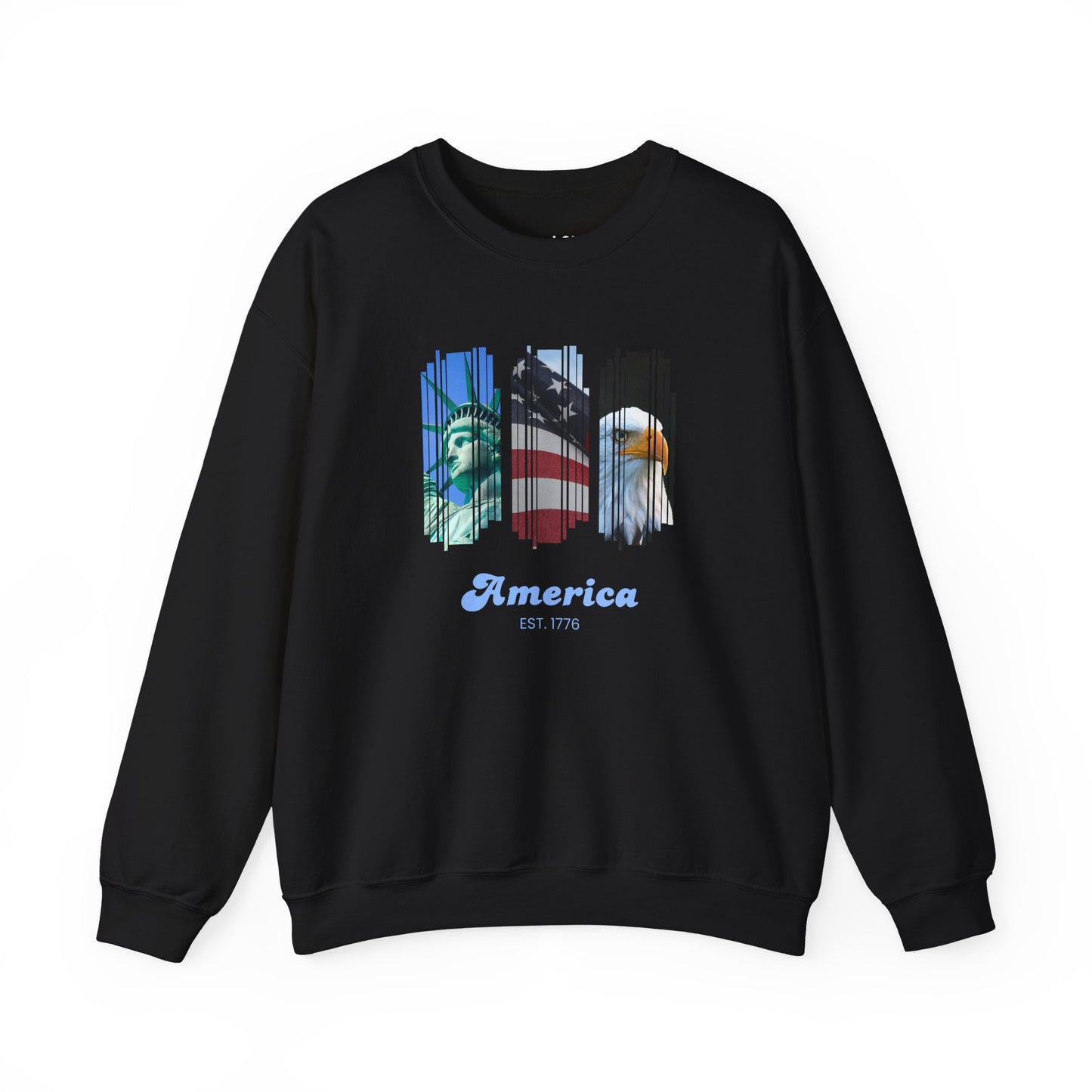 America | Graphic Sweatshirt