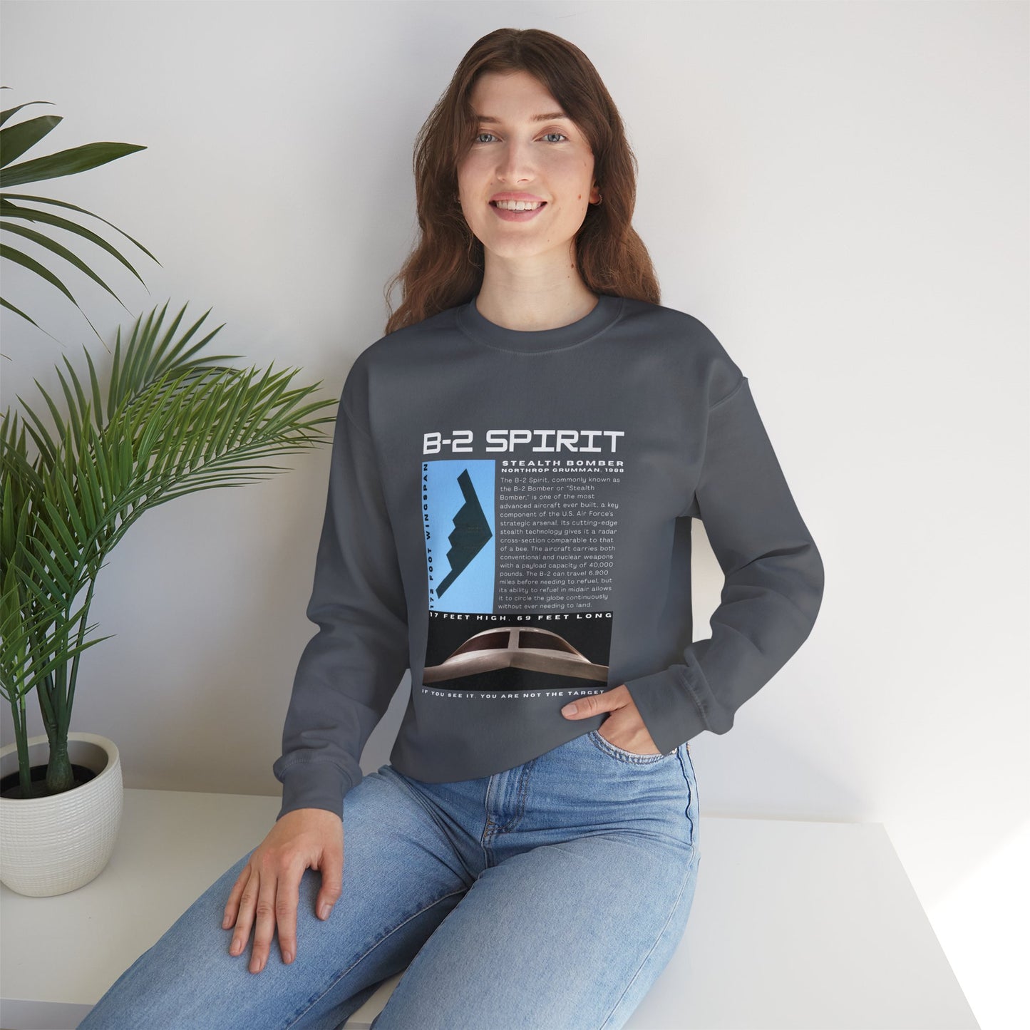 B-2 Spirit | Graphic Sweatshirt