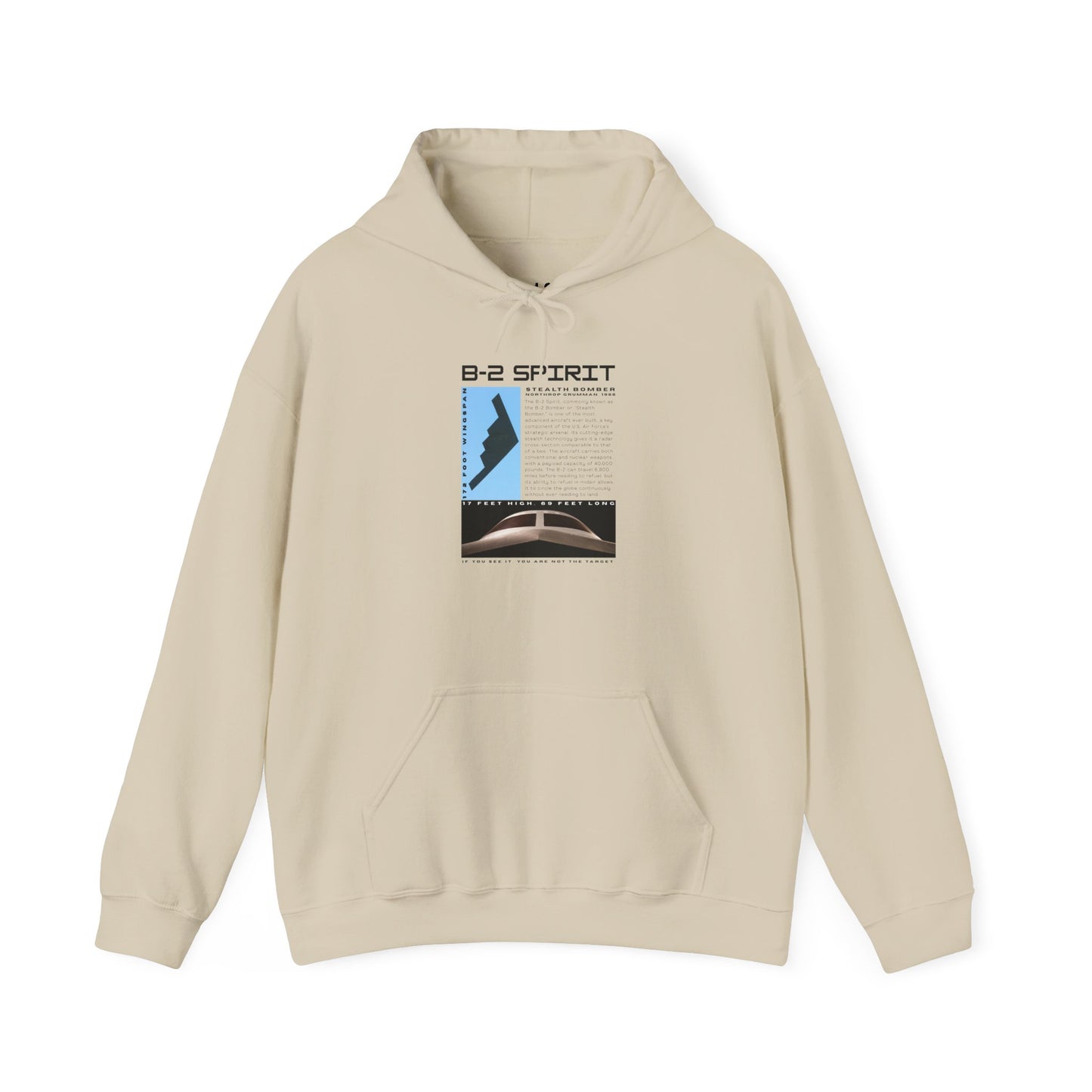 B-2 Spirit | Graphic Hoodie