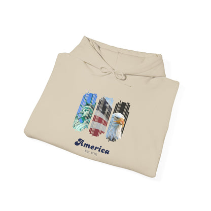America | Graphic Hoodie