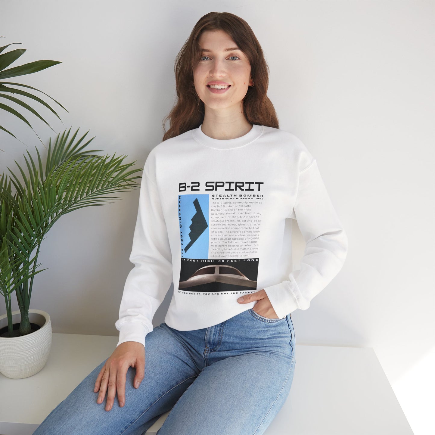 B-2 Spirit | Graphic Sweatshirt